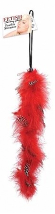 Fetish Fantasy Feather Red
