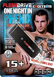 15+ One Night In Phenix Video On 4gb Usb Fleshdrive (116594.488)
