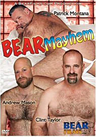 Bear Mayhem 1 (189063.5)